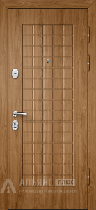 Утепленная термодверь для дачи №11 внешняя - фото