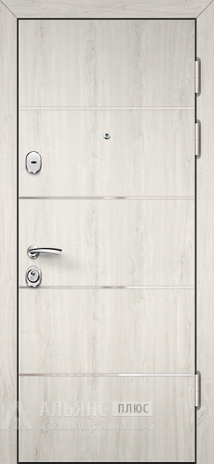 Фото «Подъездная дверь с ригельной системой защиты №48»