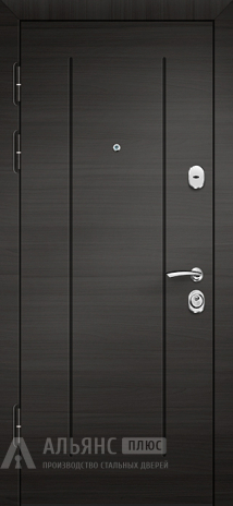 Фото 2 «Подъездная дверь с ригельной системой защиты №48»