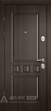 Фото 2 «Теплая и прочная входная дверь №49»